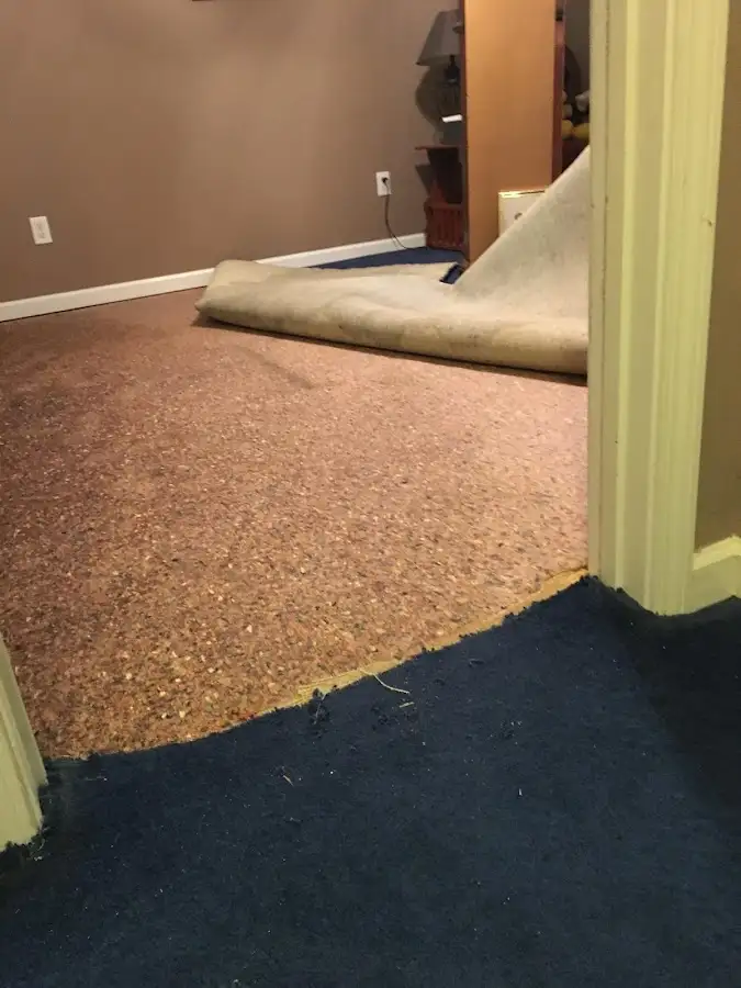 Carpet pad removal revealing water damage during Drying & Dehumidification in Friendly