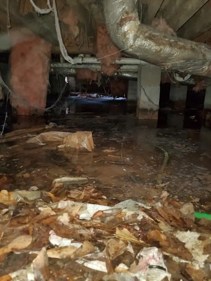 Crawl space flood assessment for Leak Detection & Repair in Friendly